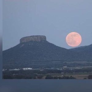 Meet your Posher, Veronica